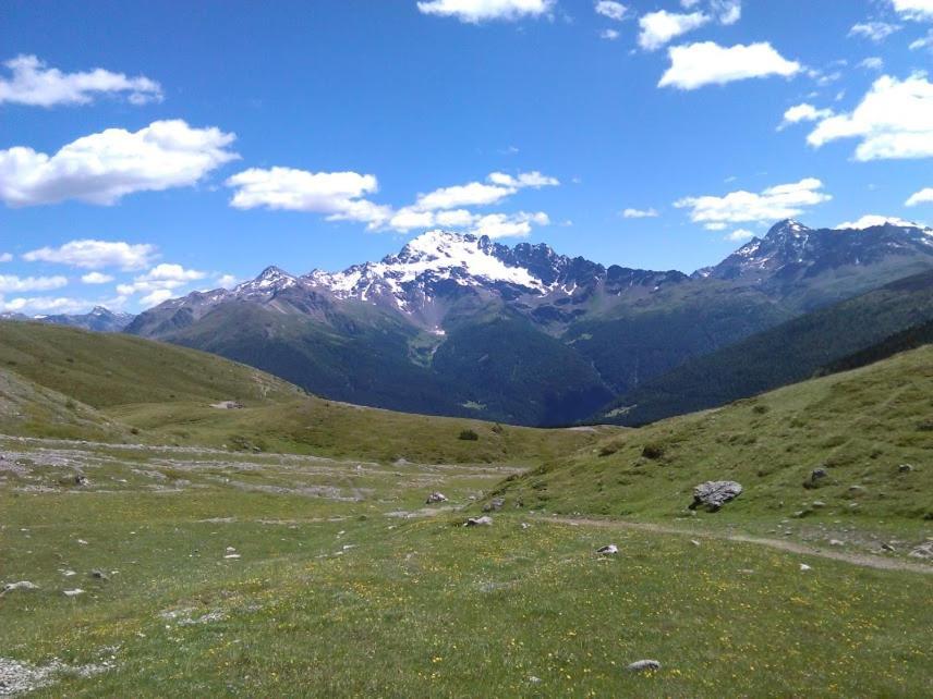 Appartamento Genziana Isolaccia Εξωτερικό φωτογραφία